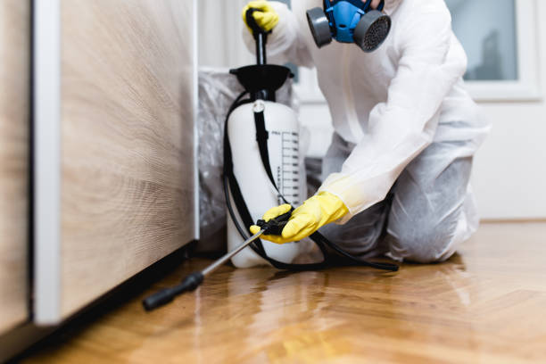 Best Best Pest Control Companies  in Lancaster, KY