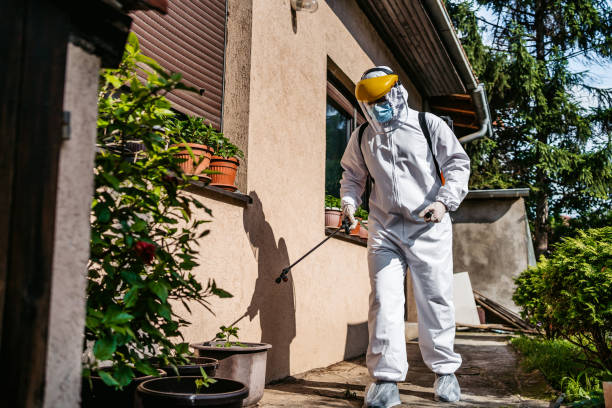 Best Insect Control  in Lancaster, KY