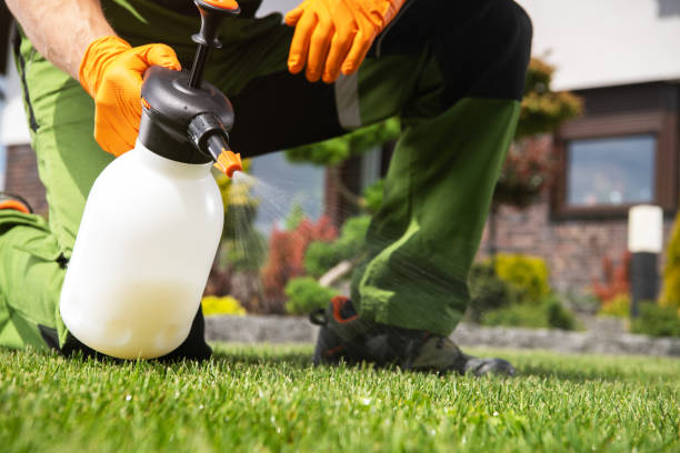 Best Best Pest Control Companies  in Lancaster, KY