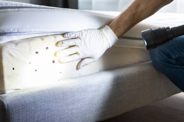 Lancaster, KY Pest Control Company