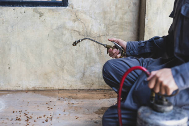 Best Pest Removal Services  in Lancaster, KY