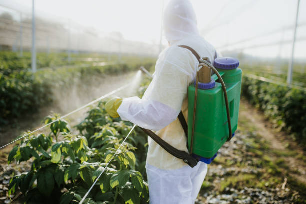 Best Affordable Pest Control Services  in Lancaster, KY